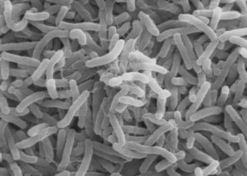 Cholera sílí tam, kde selhává čistá voda
