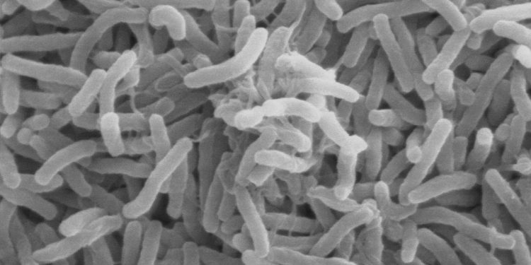Cholera sílí tam, kde selhává čistá voda