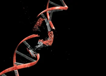 Růst nádorů může poškozovat jejich vlastní DNA