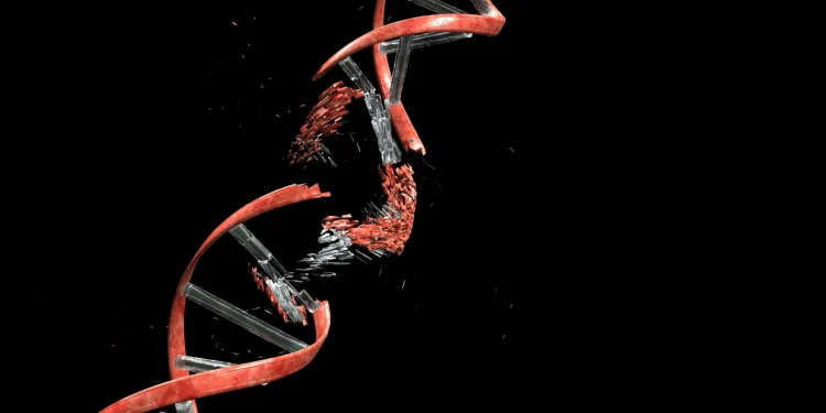 Růst nádorů může poškozovat jejich vlastní DNA